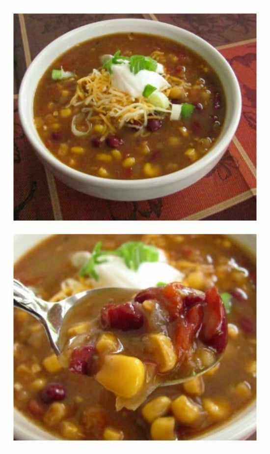 Slow Cooker Vegetarian Enchilada Soup from Louanne's Kitchen Slow