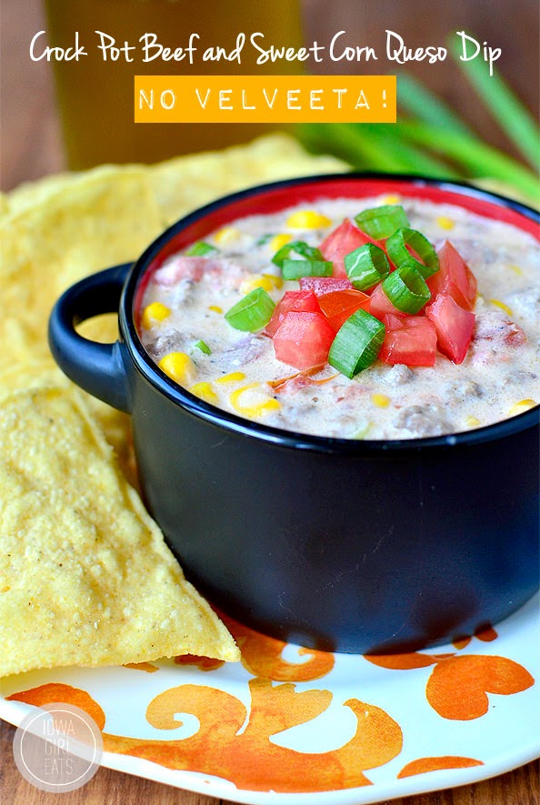 The BEST Slow Cooker Dip Recipes for Parties and Holidays Slow Cooker or Pressure Cooker