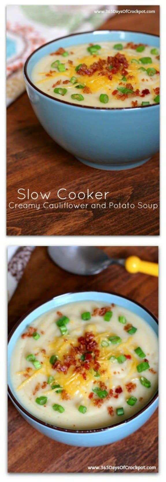 Slow Cooker Creamy Cauliflower and Potato Soup from 365 Days of Slow