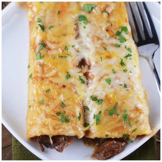 Three Family Friendly Recipes for Beef Enchiladas (Slow Cooker or