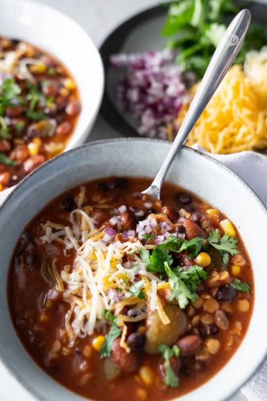 Slow Cooker Lentil Tortilla Soup from Mountain Mama Cooks
