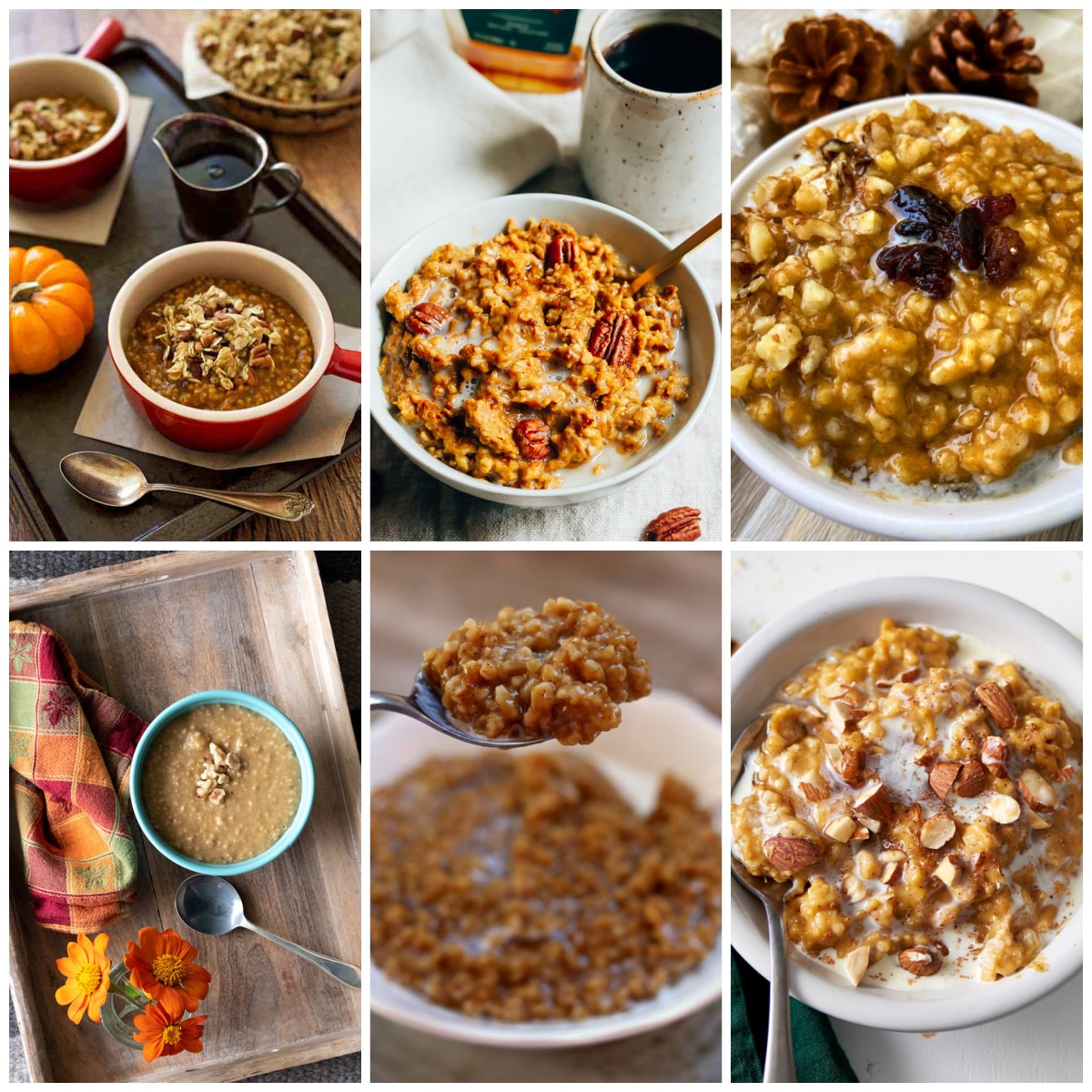 Slow Cooker or Instant Pot Pumpkin Spice Oatmeal Recipes collage photo