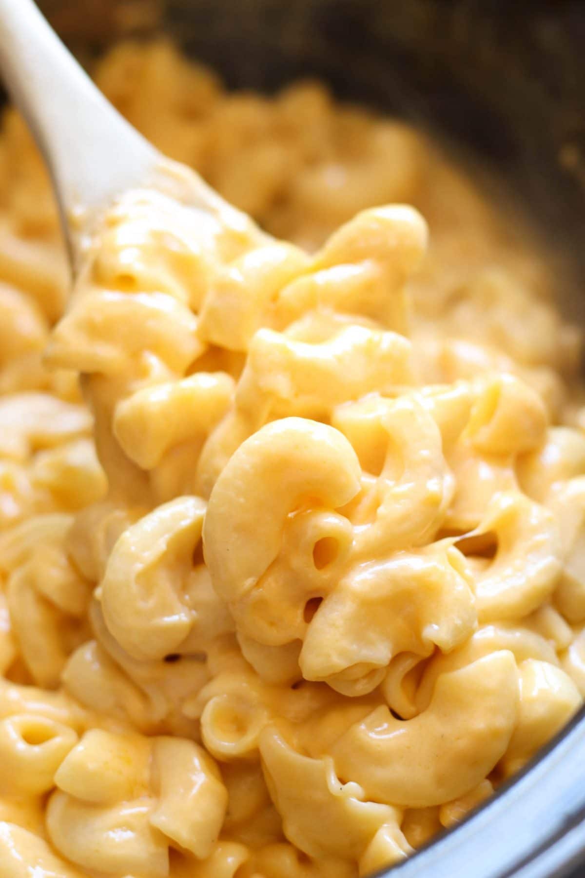 Slow Cooker Creamy Macaroni and Cheese from Six Sisters' Stuff