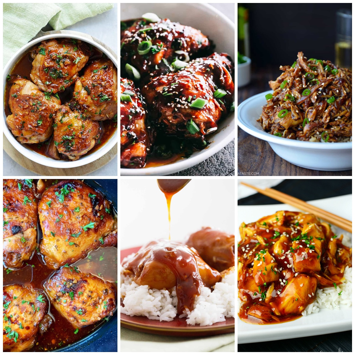 Slow Cooker or Instant Pot Honey Garlic Chicken Slow Cooker or