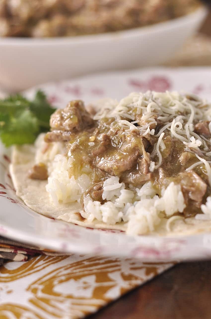 Slow Cooker Pork Chile Verde from Leigh Anne Wilkes