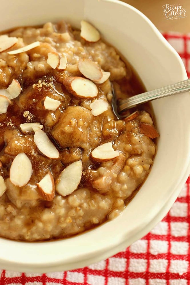 Overnight Slow Cooker Apple Cinnamon Oatmeal from Diary of a Recipe Collector