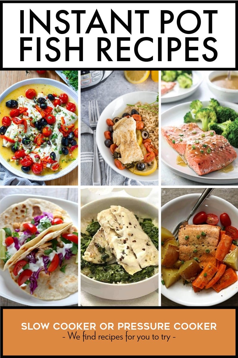 Pinterest image of Instant Pot Fish Recipes