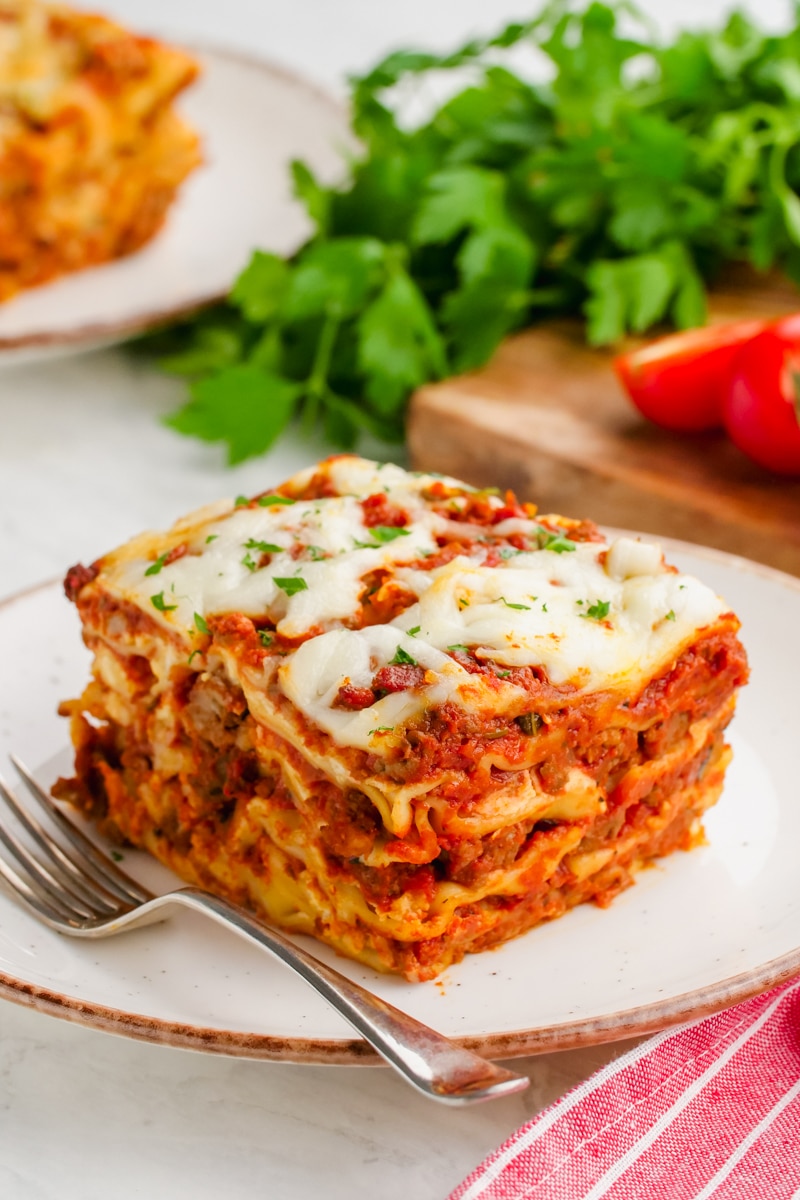 CrockPot Lasagna shown on serving plate.