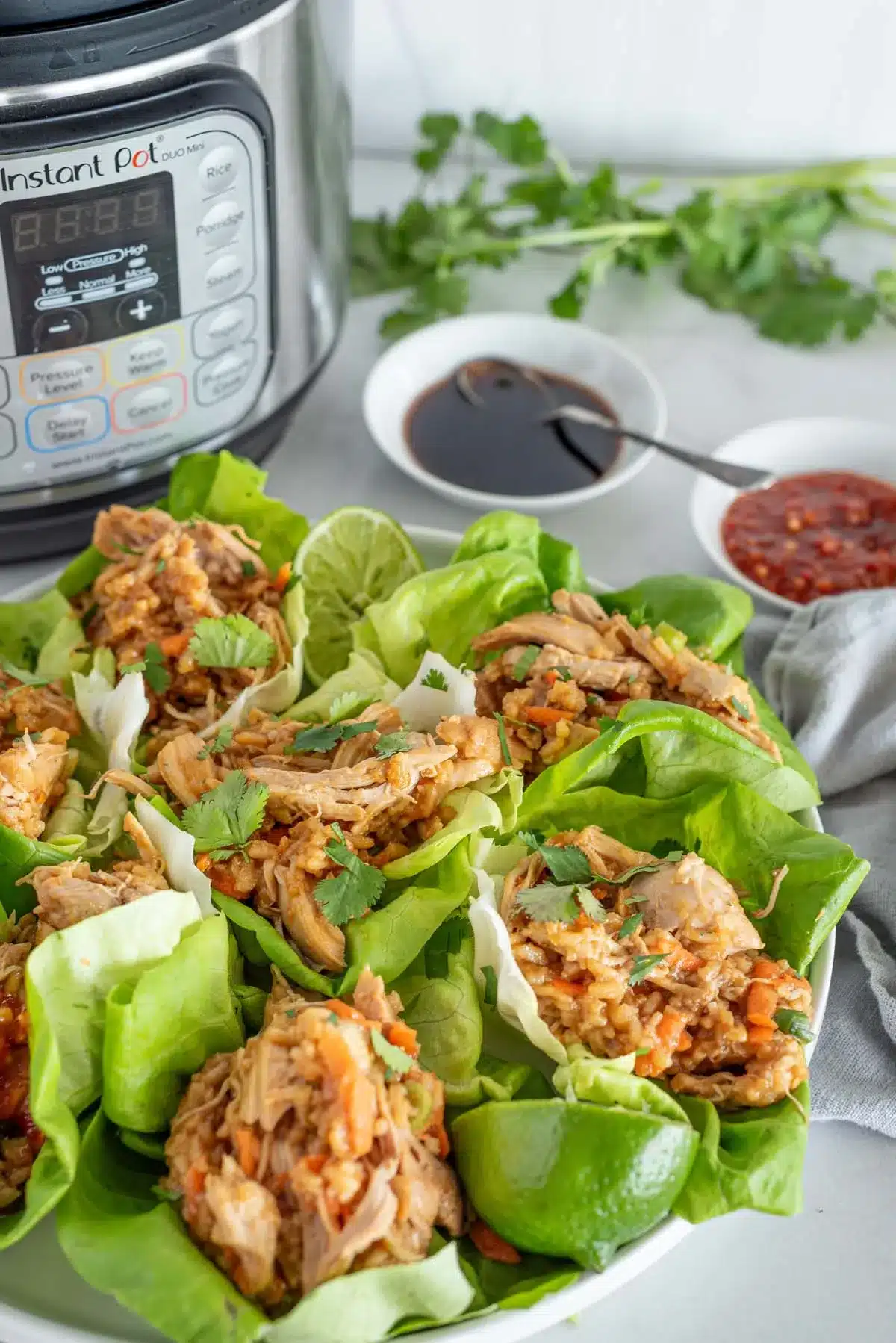 Instant Pot Chicken Lettuce Wraps shown with Instant Pot in back.